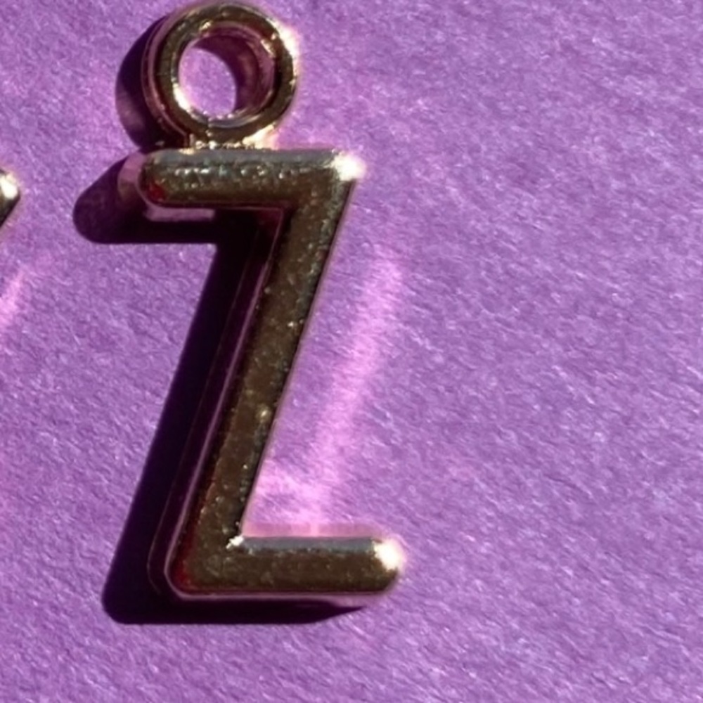 “Z” Charm jewelry making Necklace bracelet ring baubles keychain ID tag lanyard